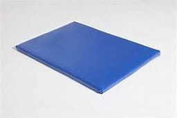 alfombra-desinfectante-azul